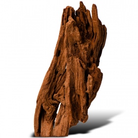 Philippines Classic Driftwood XXS - 10cm