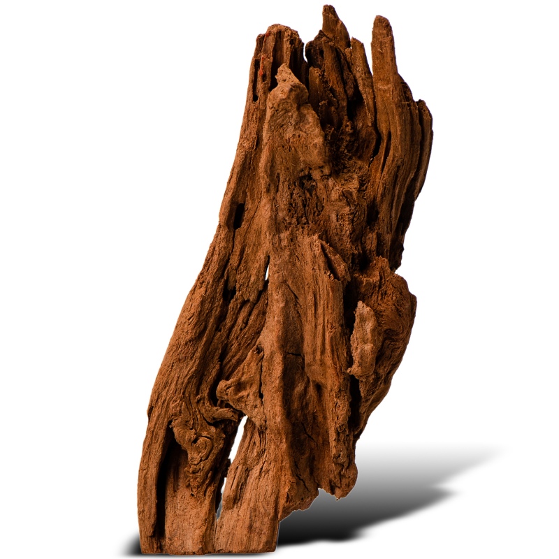 Philippines Classic Driftwood - XXS 10cm