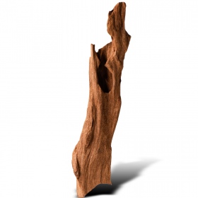 Filippine Classic Driftwood XXS - 10cm