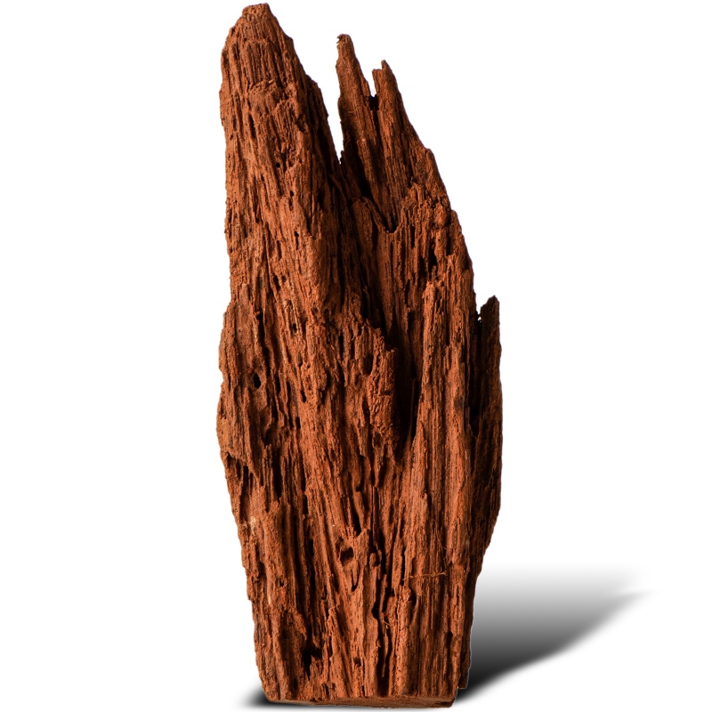 Filippine Classic Driftwood XXS - 10cm