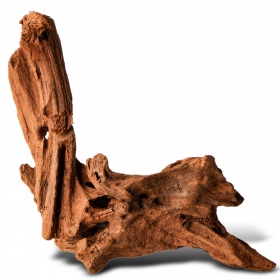 Filippine Classic Driftwood XXS - 10cm