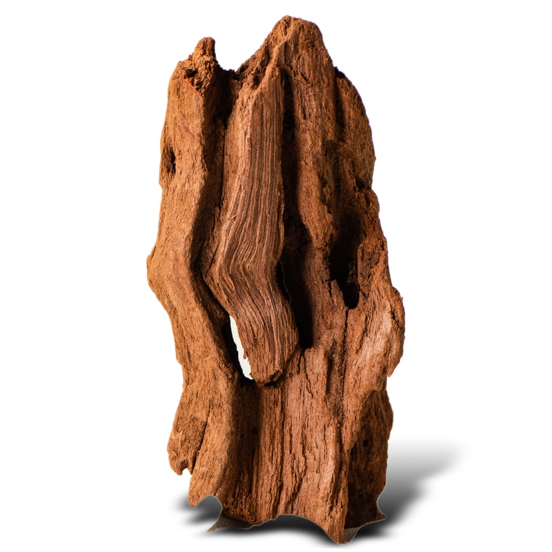 Filippine Classic Driftwood XXS - 10cm