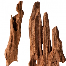 Philippines Classic Driftwood - XXS 10cm