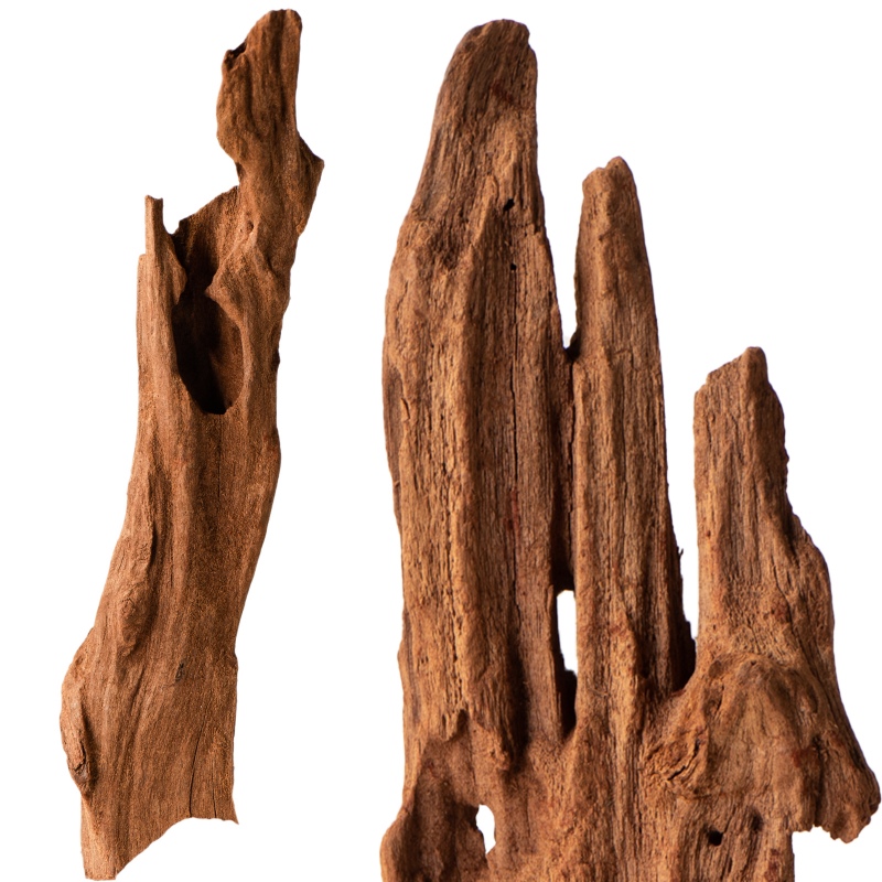 Philippines Classic Driftwood XXS - 10cm