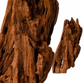 Filippine Classic Driftwood XXS - 10cm