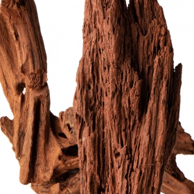 Philippines Classic Driftwood - bois de mangrove XS