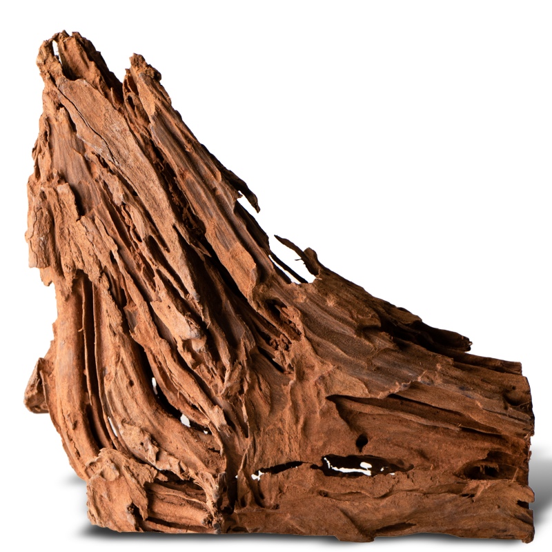 Philippines Classic Driftwood - S (20cm)