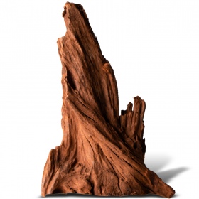 Philippines Classic Driftwood - S size