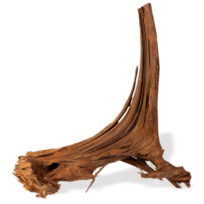 Filipíny Classic Driftwood S 20cm