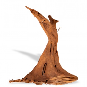 Filipíny Klasické Driftwood M 25-30cm