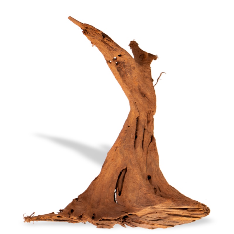 Filipijnen Classic Driftwood voor aquaria