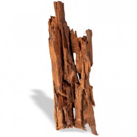 Filipijnen Classic Driftwood voor aquaria