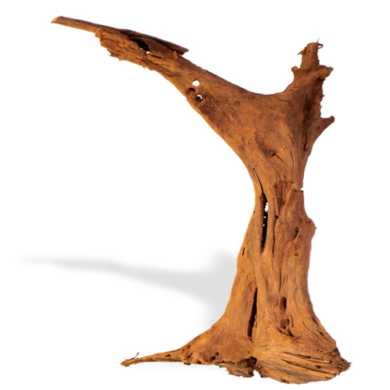 Filipijnen Classic Driftwood voor aquaria