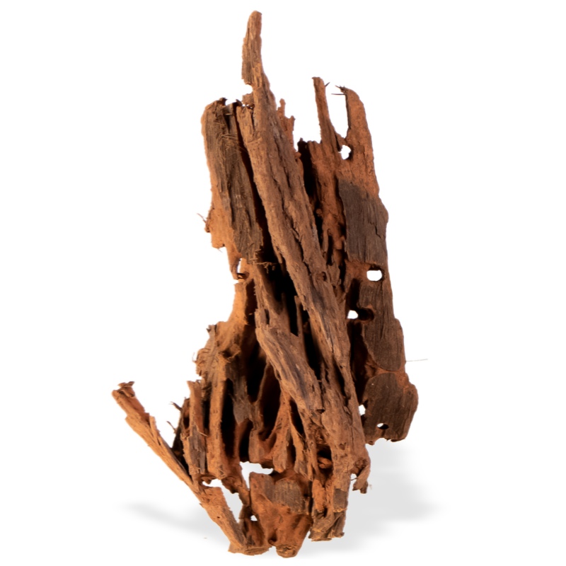 Filippinene Klassisk Driftwood M 25-30cm