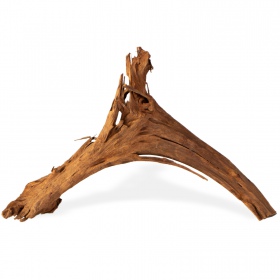 Filipiinide klassikaline driftwood akvaariumi