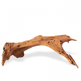 Classic driftwood from the Philippines