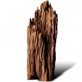 Filippine Classic Driftwood - legno di mangrovia