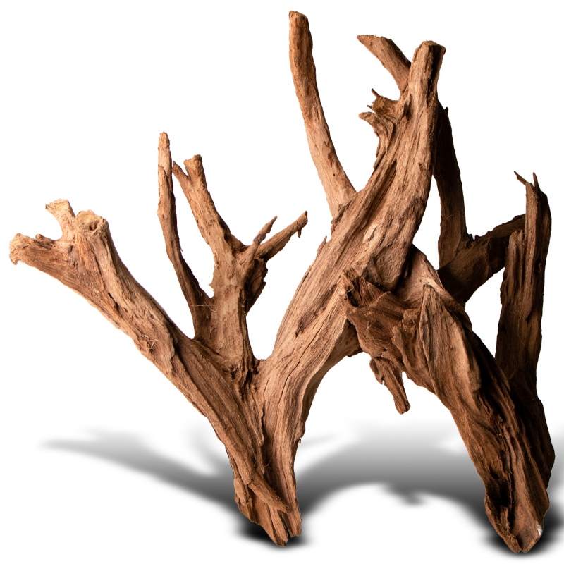 Filippine Classic Driftwood - legno di mangrovia