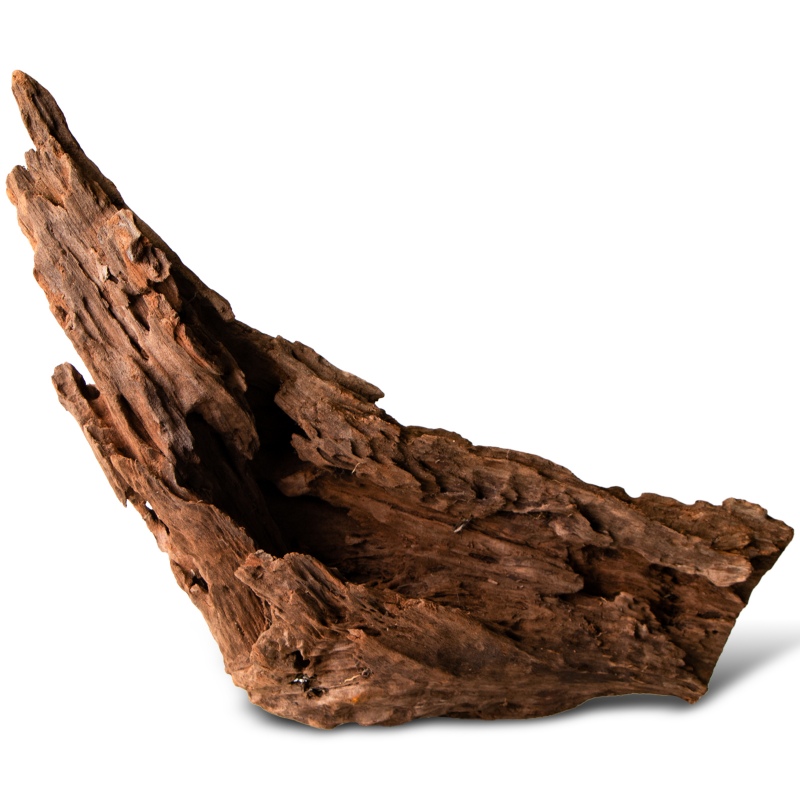 Filippinene Klassisk Driftwood