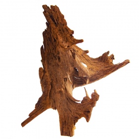 Philippinen Klassisches Driftwood 30-40 cm für Aquarien