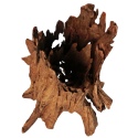 Filippinene Klassisk Driftwood - mangrove tre fra vannet L 30cm - 40cm