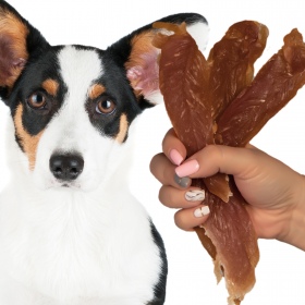 Hilton Soft Chicken Breasts for Dogs