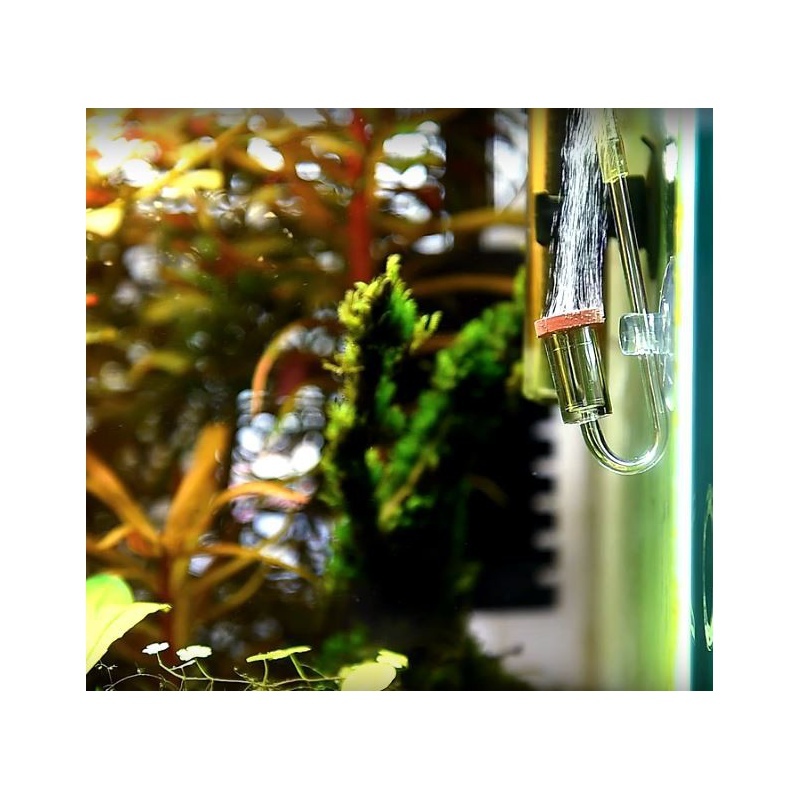 Chihiros Nano CO2 Diffusor L - Hochwertige Aquarientechnologie