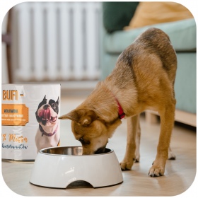 Bufi Karma für Hunde Premium - 82% Rindfleisch 830g