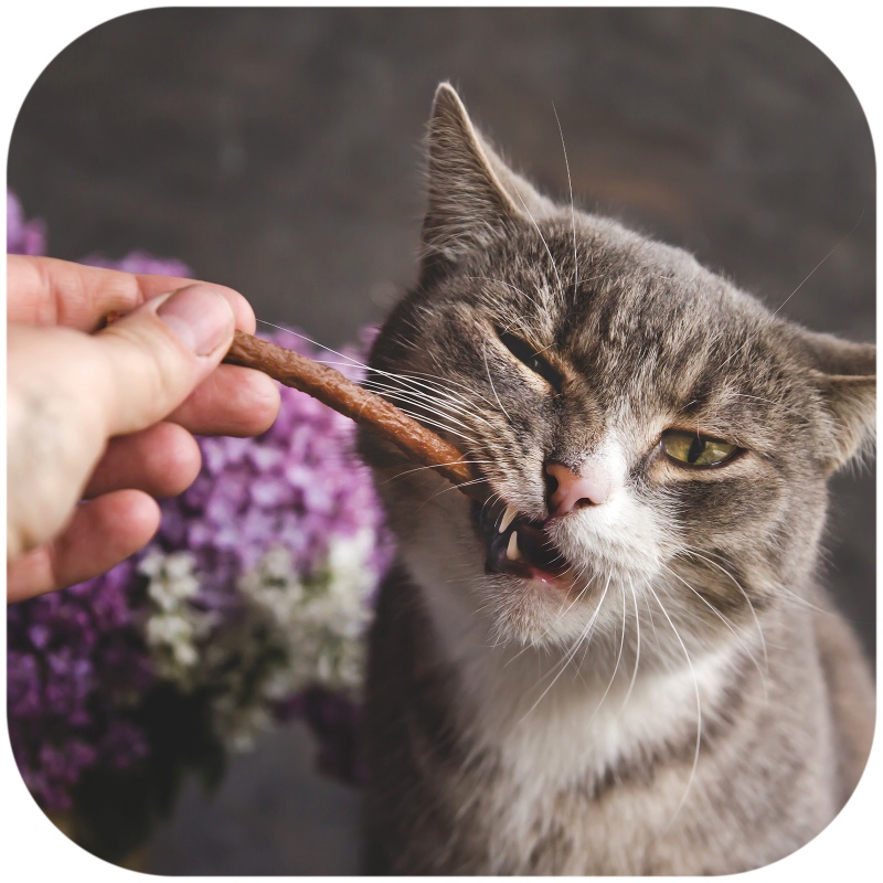 GimCat Sticks 95% Carne - Salsichas para Gatos