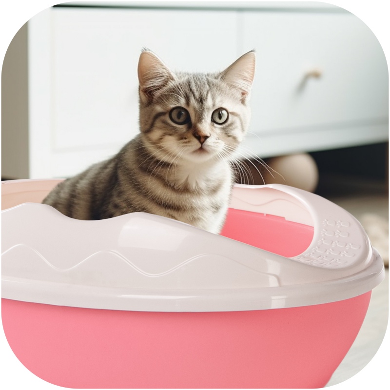 Furrever Friends Purrfect Point Pink mit Scoop - kleine Katzentoilette mit Schaufel