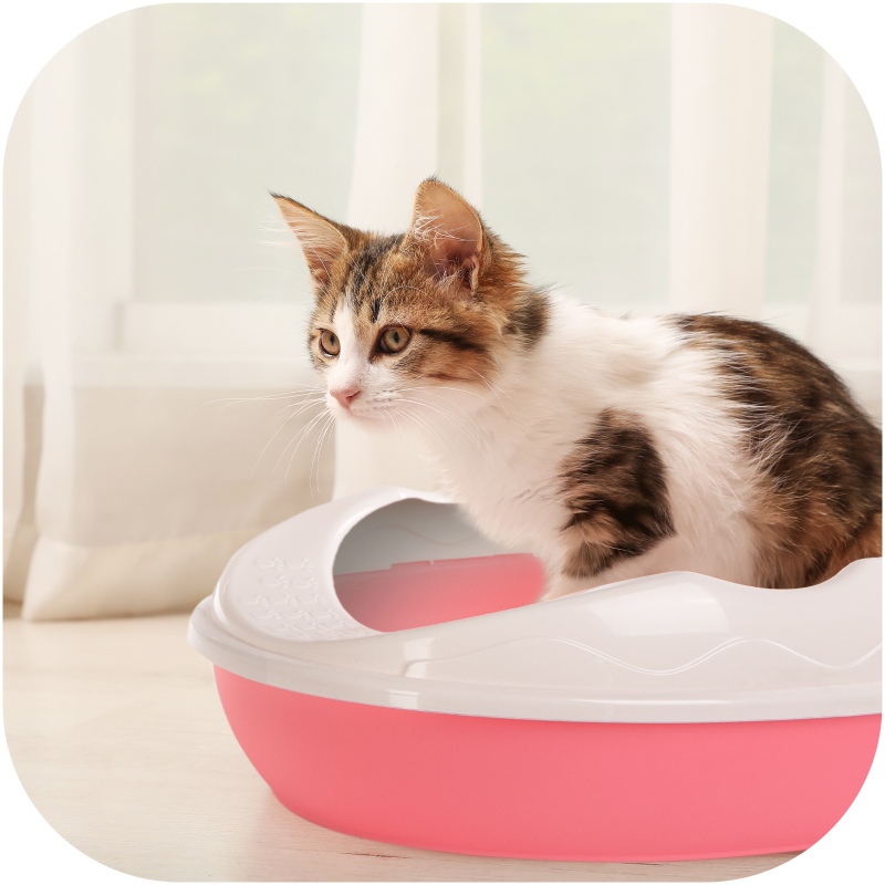 Furrever Friends Purrfect Point Pink mit Scoop - kleine Katzentoilette mit Schaufel