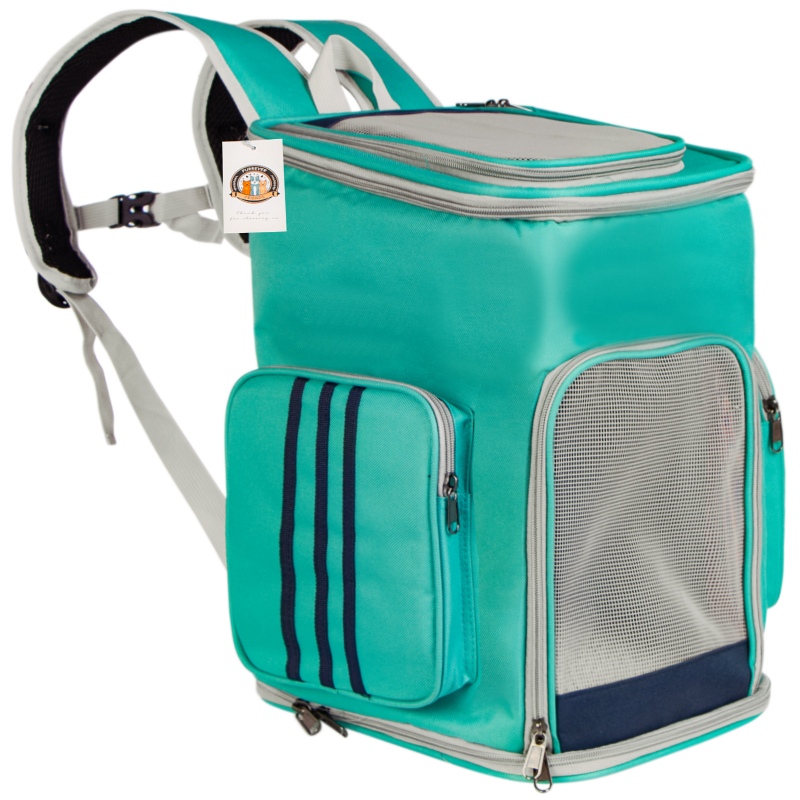 Furrever Friends Catbox Turquoise Backpack Carrier