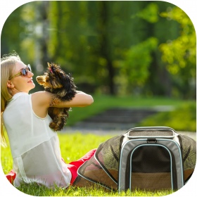 Furrever Friends Airy Tent & Bag