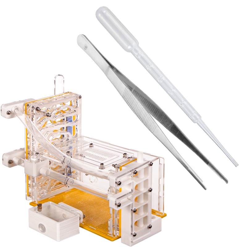 Formicarium Ant Expert 5 Sterren Hotel