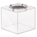 Ant Expert Nouvelle Terre - module d\'arène pour formicarium