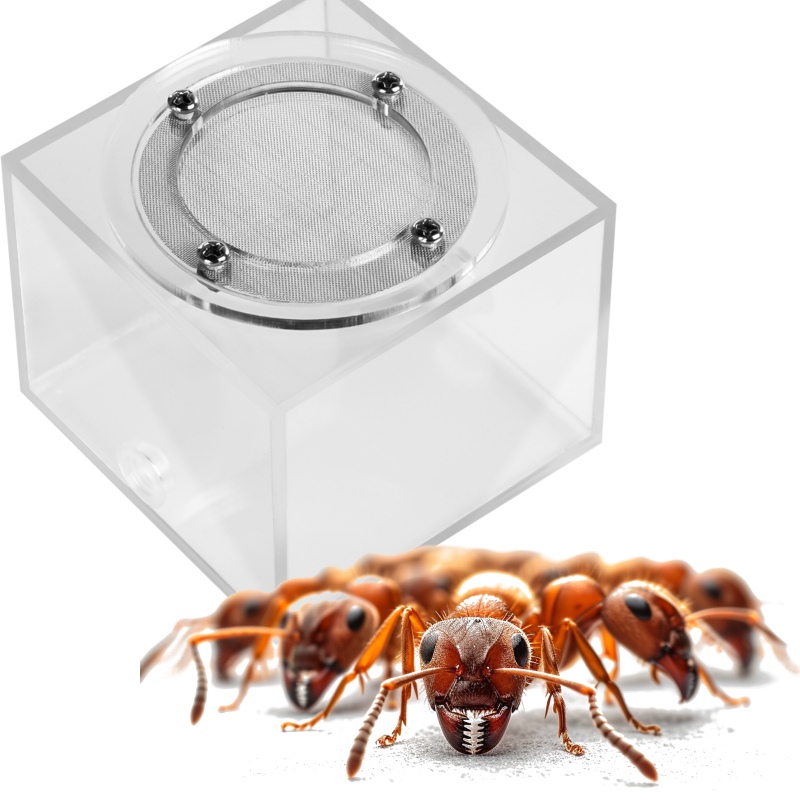 Ant Expert Nieuwe Land module voor formicarium