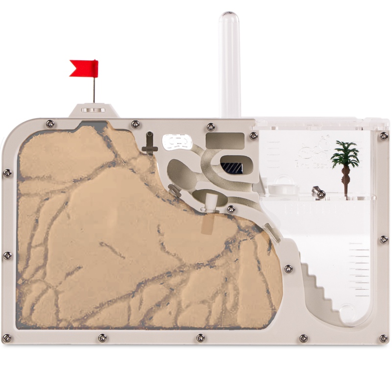 Formikarium Ant Expert Dwarf Caverns