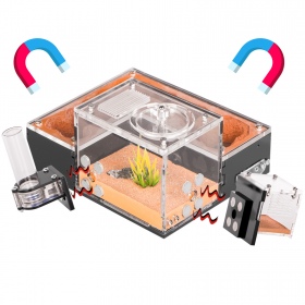 Ant Expert Arizona Canyons - Acrylformicarium
