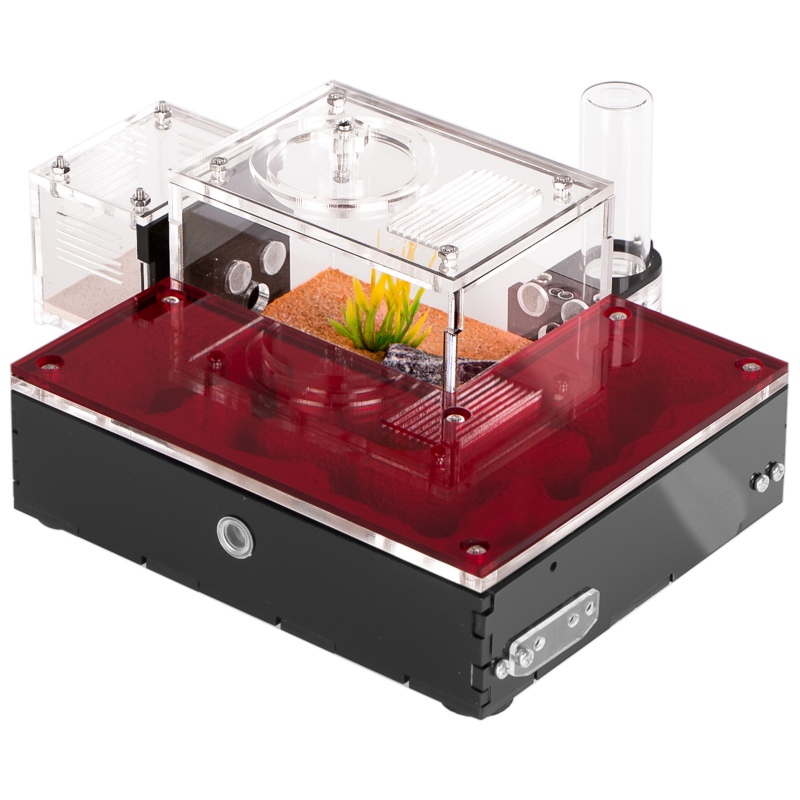 Ant Expert Arizona Canyons Formicarium