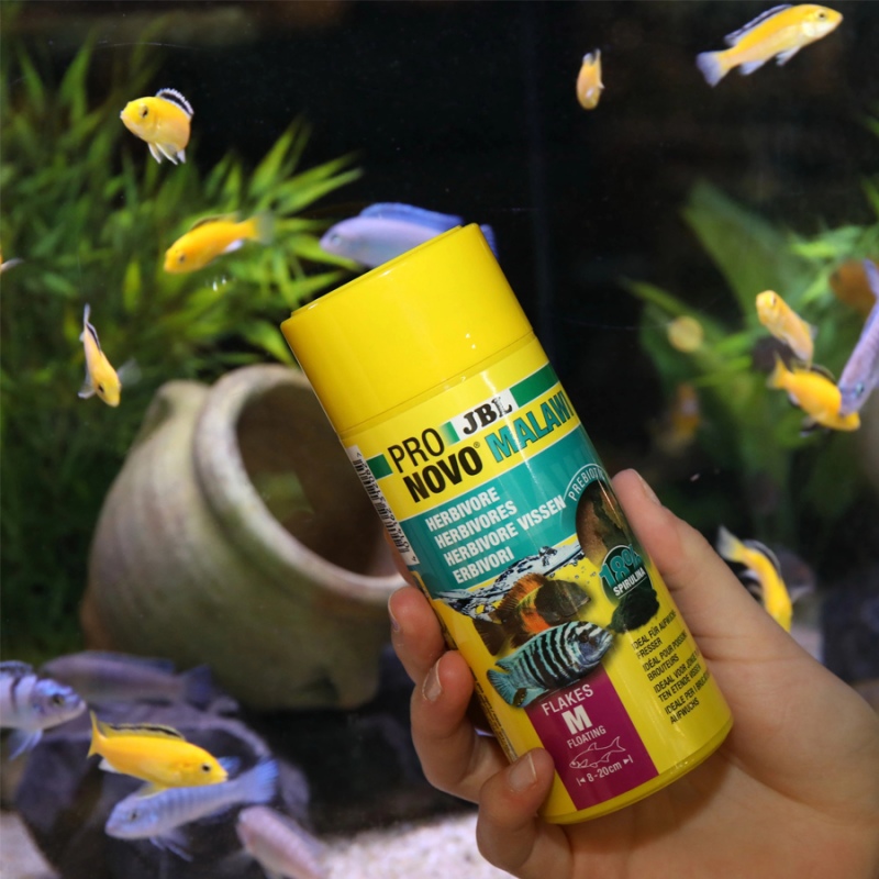 JBL Pronovo Malawi Flakes for Cichlids