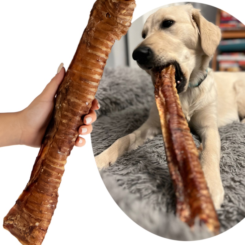 Dogario Bonni Beef Throat XL - Tyggeleke for hund