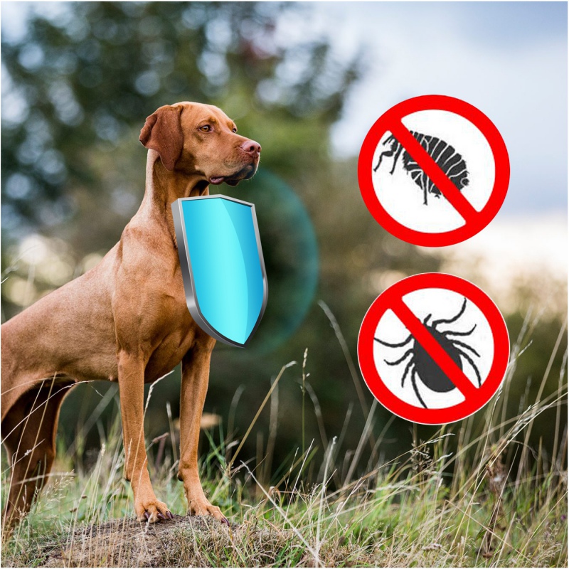 SABUNOL PLUS - dekorative, biocide Halsband für Hunde 75cm grau