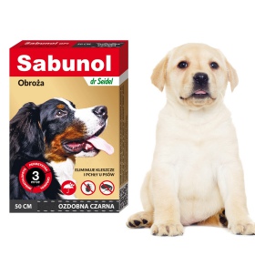 Sabunol Plus - Coleira decorativa para cão