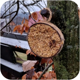 Gami Coconut Grain for Wild Birds