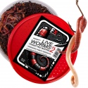 Fishing Expedition Live Worms No.2 - live red worms size 2