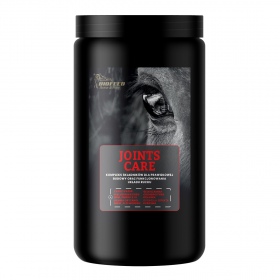 Biofeed Horse&Pony Joints Care 900g