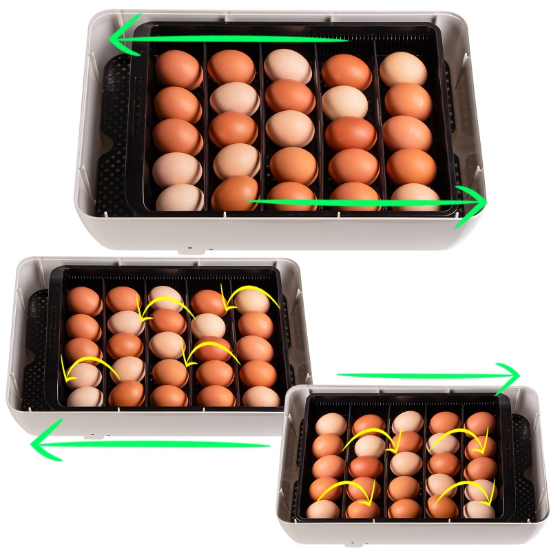 Janoel 24S incubator with automatic turning
