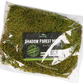 Terrarium Shadow Forest Moss - looduslik sammal