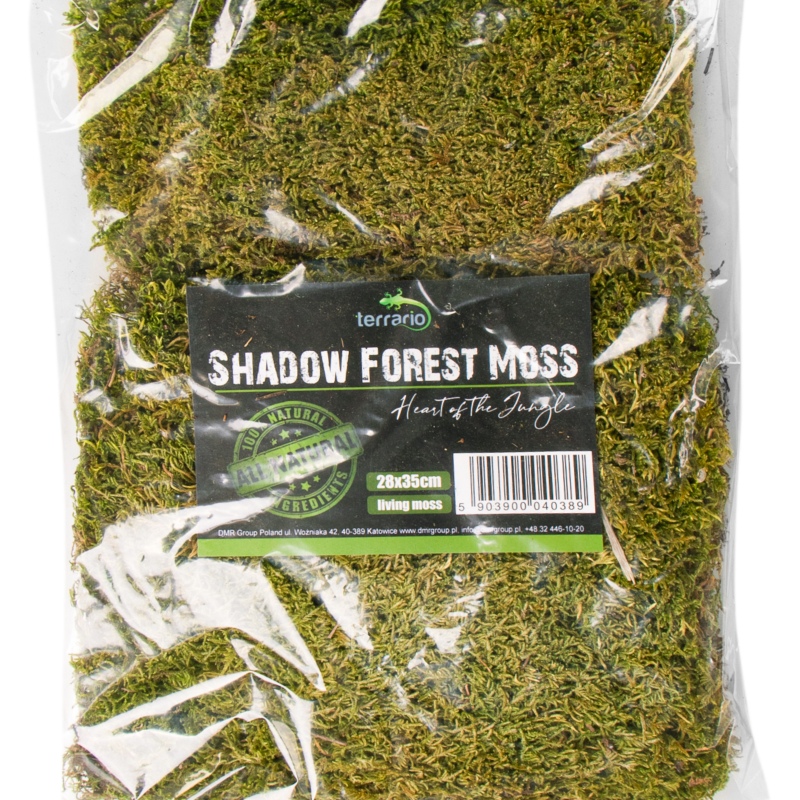 Terrarium Shadow Forest Moss - looduslik sammal