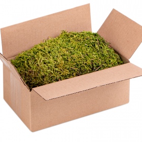 Terrario North King Moss Box 1.5l - Mekanisk tropisk